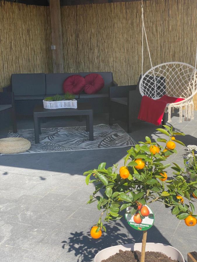 Appartement Blanc Cocooning 스프리몽 외부 사진